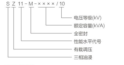 S11-M-,S13-M型全密封油浸式-型号.jpg